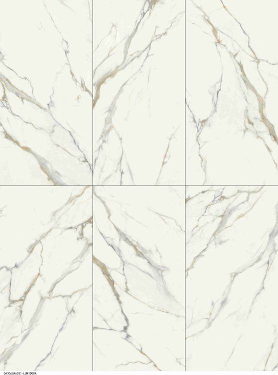 Time Dorado Polished 24 x 48